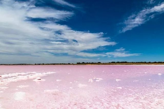 Adelaide, Australia: A Secret and Beautiful Spot | A Day Trip to the Pink Lake