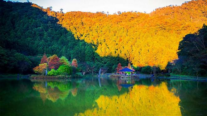 Yilan Mingchi Forest and Jiuliao Creek Forest Breathing Day Tour | Depart from Taipei