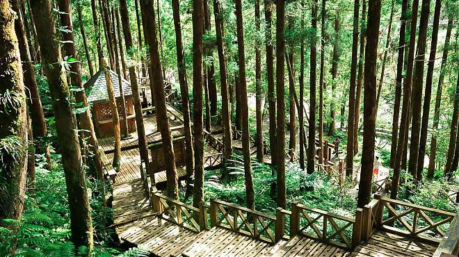 Yilan Mingchi Forest and Jiuliao Creek Forest Breathing Day Tour | Depart from Taipei