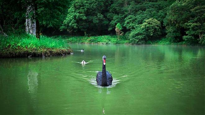 Yilan Mingchi Forest and Jiuliao Creek Forest Breathing Day Tour | Depart from Taipei