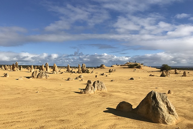 Perth, Australia: Unique Landscapes and Wonders | Pinnacles Day Tour