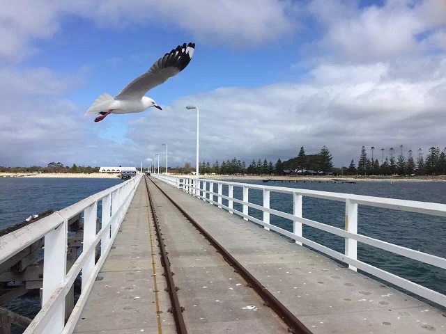 A Trip to Margaret River in Perth, Australia | Visiting the Filming Locations of Spirited Away