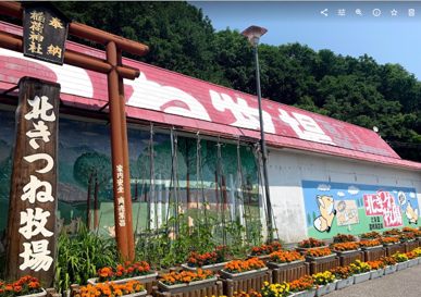 Kitami, Hokkaido | 3-hour chartered tour of Fox Village Aquarium