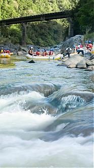 Cairns Byron River Rafting Experience (Includes City Hotel Pickup and Drop-off)