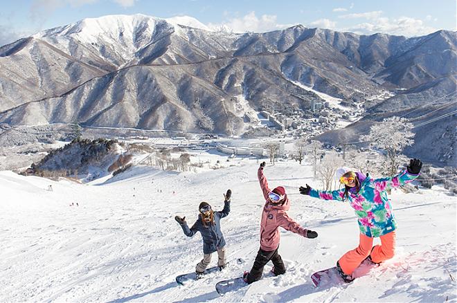 Naeba Ski Day Trip (Lift Ticket Included / Departs from Shinjuku)