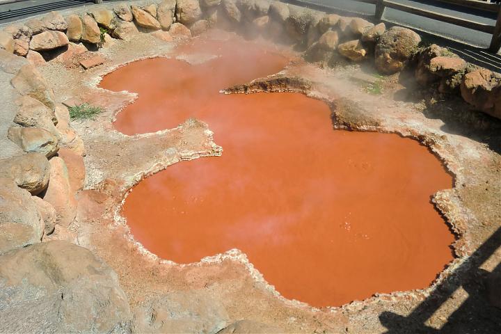 Kyushu Oita Classic Day Tour - Dazaifu, Yufuin, Beppu (Chinese/Fukuoka)