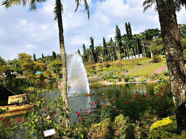[Family Travel] Okinawa Southeast Botanical Gardens Electronic Admission Ticket