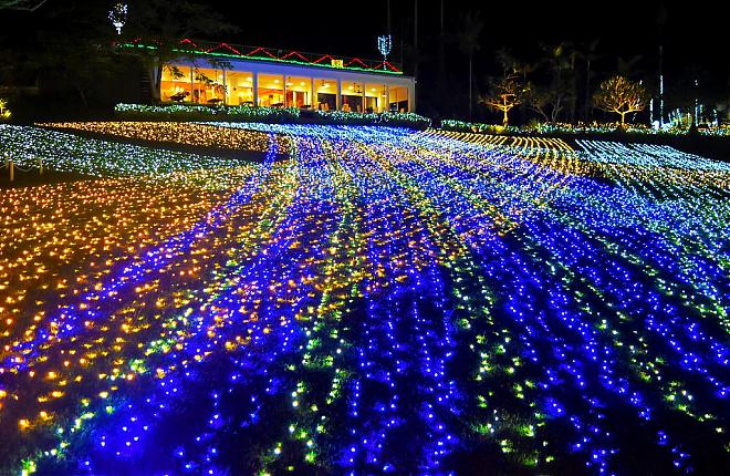 [Family Travel] Okinawa Southeast Botanical Gardens Electronic Admission Ticket