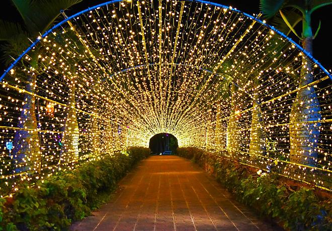 [Family Travel] Okinawa Southeast Botanical Gardens Electronic Admission Ticket