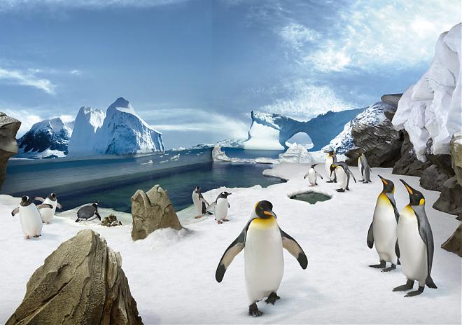 [Australia Must-See] Gold Coast SeaWorld Ticket (Helicopter Tour Option)