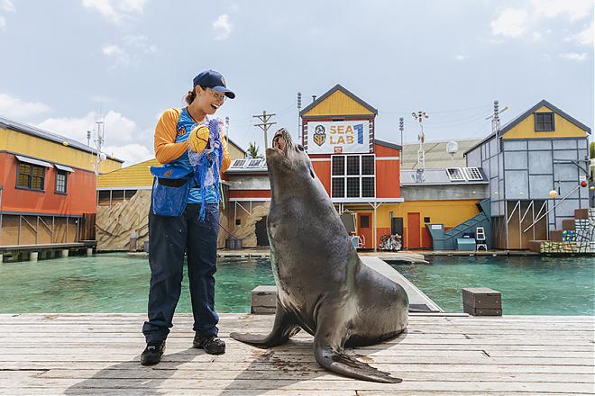Warner Bros. Movie World Gold Coast | Sea World, Paradise Country, Wet 'n' Wild Combo Ticket