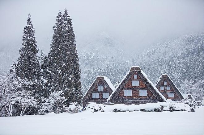 [Depart from Nagoya] Gifu Shirakawa-go and Hida Takayama Day Trip