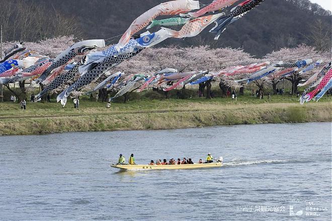 Iwate, Akita, Kitakami Exhibition Hall and Kakunodate Cherry Blossom Viewing Day Tour (Chinese Guide/Meals Included)