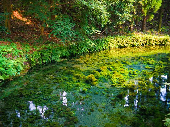Departing from Fukuoka | Kyushu Miyazaki Day Tour: Takachiho Gorge, Shirakawa River Source, and Amano Iwato Shrine to Explore the Mythological Land
