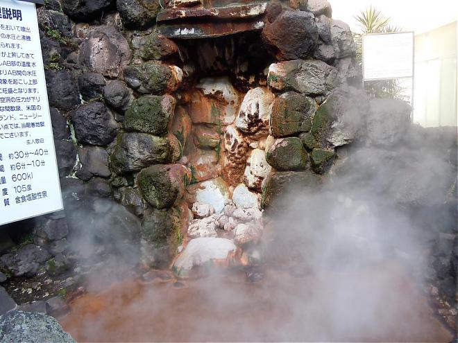 Kyushu Beppu Attractions and Hell Hot Springs Package (Fukuoka Airport Pick Up)