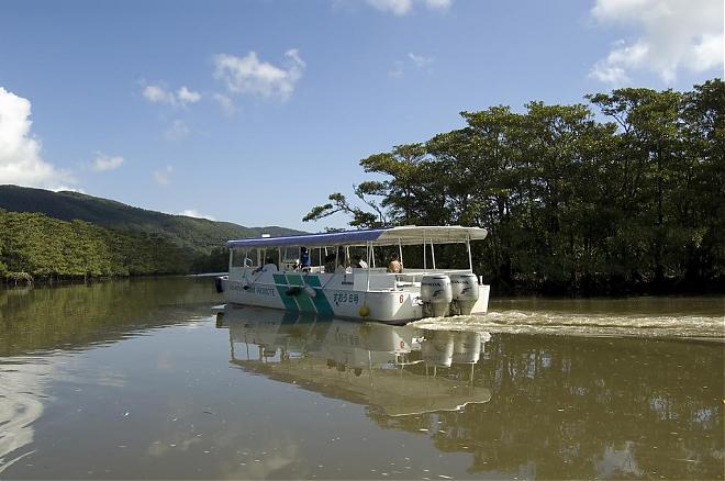 [Okinawa Ishigaki Island] Iriomote Island Yubu Island Half-Day Tour (Lunch Included)