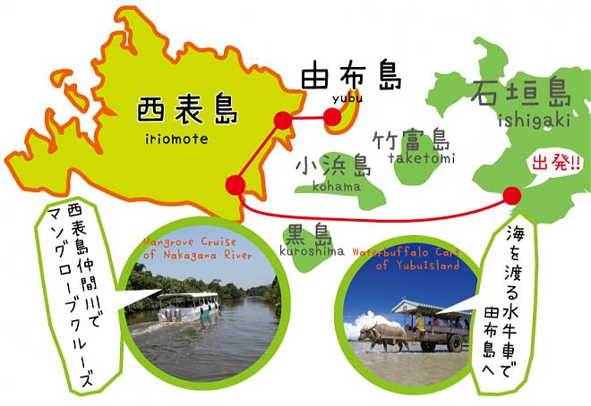 [Okinawa Ishigaki Island] Iriomote Island Yubu Island Half-Day Tour (Lunch Included)