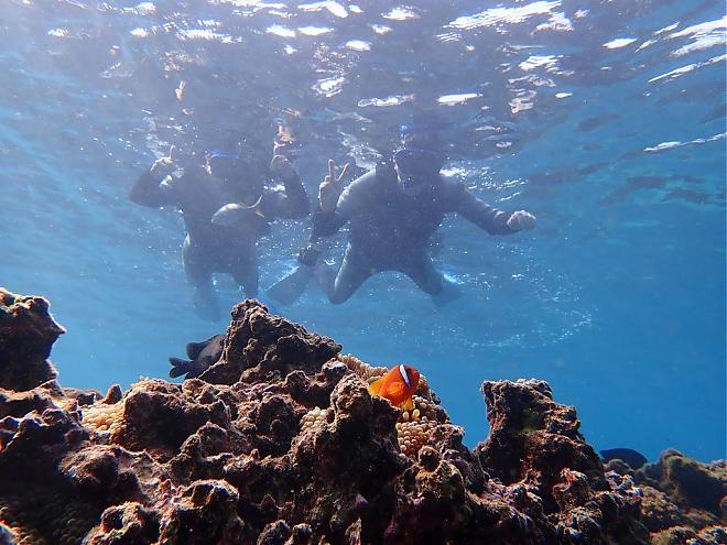 Miyakojima Half-Day Snorkeling Tour with SUP or Canoeing Experience