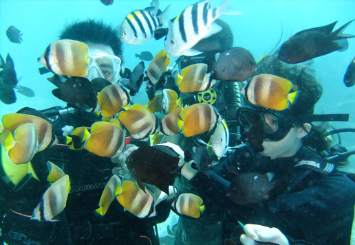 [Boracay Package Experience] Diving Beauty 3-in-1 Experience