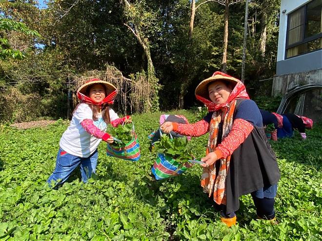 Rural Kitchen | Chiayi Alishan Longyun Farm × Tea-flavored Mountain Cuisine