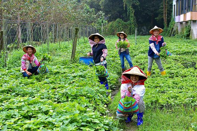 Rural Kitchen | Chiayi Alishan Longyun Farm × Tea-flavored Mountain Cuisine