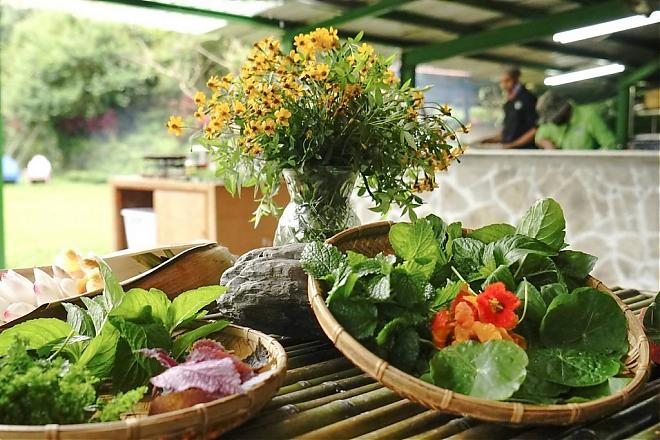 Rural Kitchen | Yilan Toucheng Farm Green Kitchen. Enjoy the delicious flavors of the mountains, sea, and land.