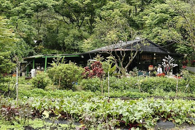 Rural Kitchen | Yilan Toucheng Farm Green Kitchen. Enjoy the delicious flavors of the mountains, sea, and land.