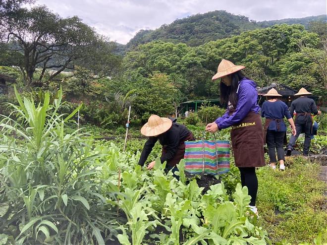 Rural Kitchen | Yilan Toucheng Farm Green Kitchen. Enjoy the delicious flavors of the mountains, sea, and land.
