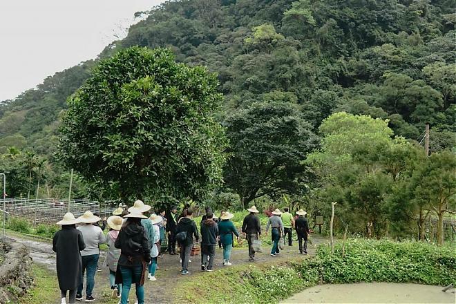 Rural Kitchen | Yilan Toucheng Farm Green Kitchen. Enjoy the delicious flavors of the mountains, sea, and land.