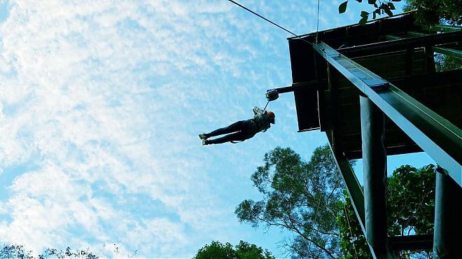 Hualien Wild Monkey Adventure Forest | Canopy Zipline + Thrilling Treetop Parkour