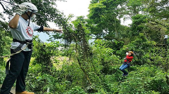 Hualien Wild Monkey Adventure Forest | Canopy Zipline + Thrilling Treetop Parkour