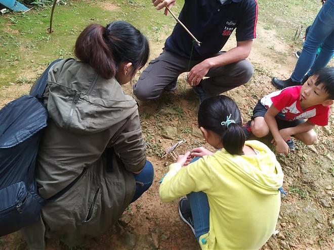 Wulai | Neidong Dinosaur Tree Fern × Atayal Settlement Cultural Tour | 1-Day Tour