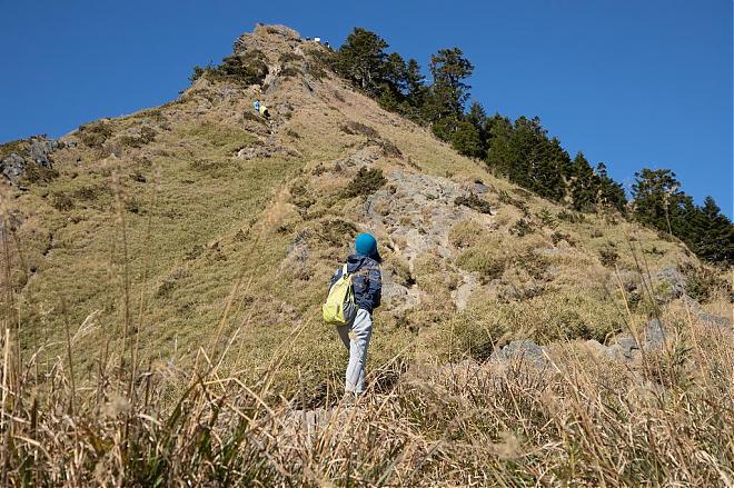 [Revitalizing Forest Life] Nantou | 2-Day Hiking Tour of Hehuan Mountain's Fir Forest and Glacial Ruins