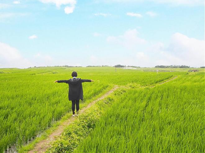 Hualien Hidden Land Day Tour | 9-Hour Chartered Tour