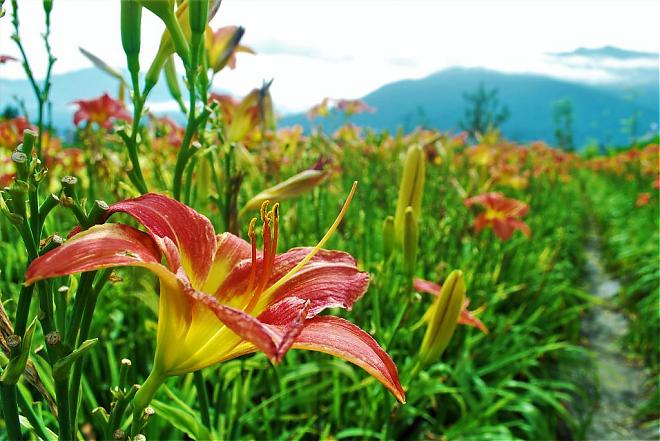Hualien Hidden Land Day Tour | 9-Hour Chartered Tour