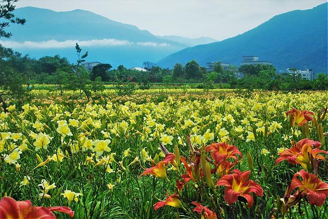 Hualien Hidden Land Day Tour | 9-Hour Chartered Tour