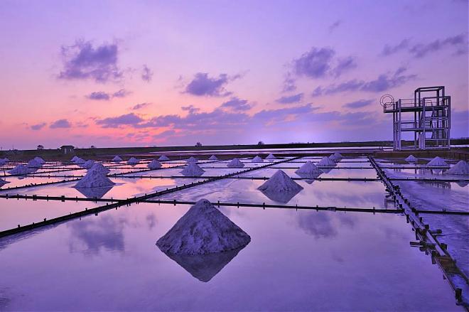 Tainan Green Tunnel and Beimen Salt Fields - Chartered Car Day Tour | Taiwan Chartered Car Tours