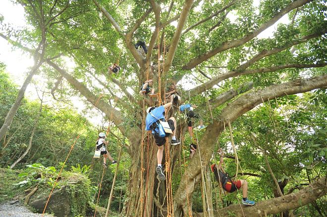 Hualien Day Trip: Eagle Hunting & Highway 11 Tour with a Professional Guide