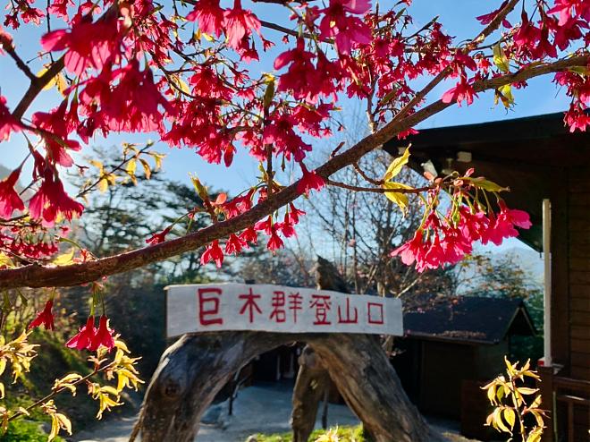 One-Day Round Trip from Hsinchu Simakus (Carpooling) | Departing from Taichung