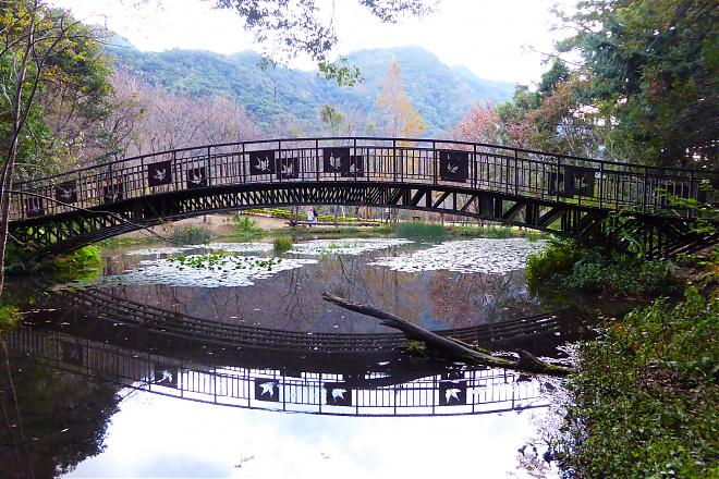 Nantou｜Aowanda Forest Therapy and Grassland Picnic JOMO Tour｜2-Day Tour