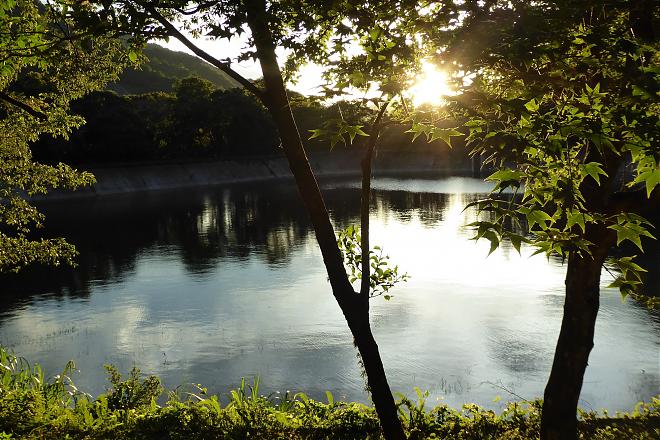 Nantou | Aowanda Forest Trail Hike and Seediq Cultural Experience | 2-Day Tour
