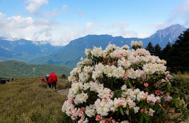 Two-Day Hiking Tour of Hehuan Mountain's North Peak & Shimen Mountain | The Most Beautiful 100 Peaks Sunrise Tour