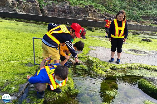 Heping Island Secret Experience - Zaoan Little Diver | Algae Story, Go to the Sea to Collect