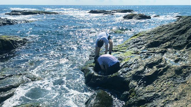 Hualien Shitiping Snorkeling & Intertidal Zone Exploration Guide | Sea Diving Challenge