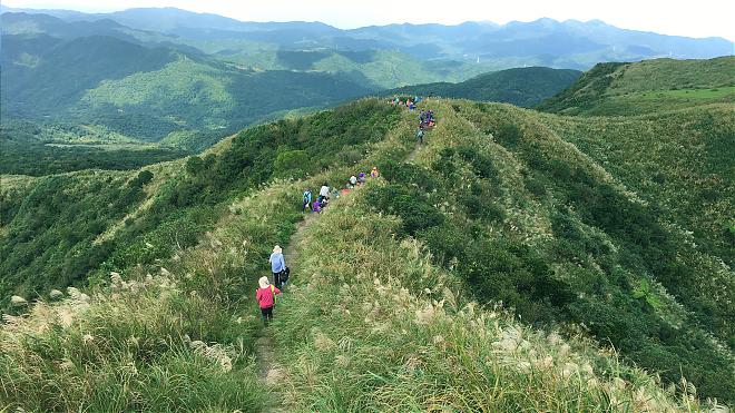 One-Day Hike in Taoyuan Valley and Caoling Historic Trail in New Taipei City | Guided Tour + Transportation