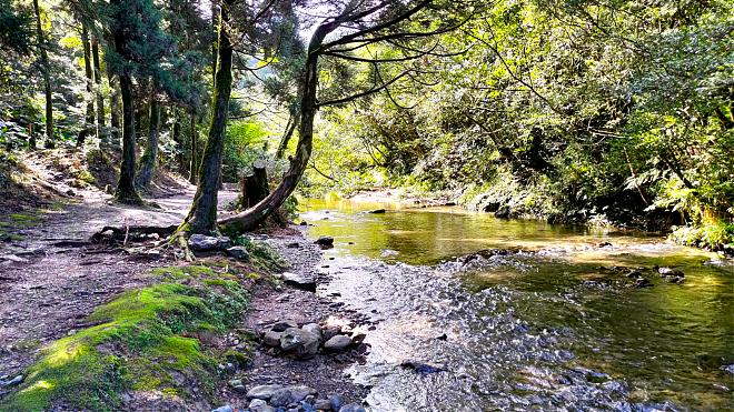[Tanlan Middle Road] Pingxi Historic Trail Day Hike | Fully Guided Tour + à la carte dining