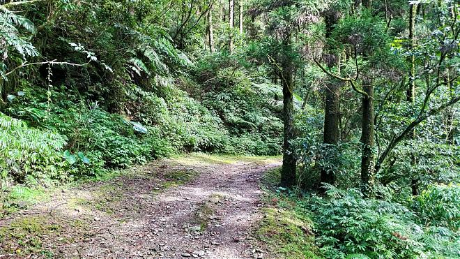 [Tanlan Middle Road] Pingxi Historic Trail Day Hike | Fully Guided Tour + à la carte dining