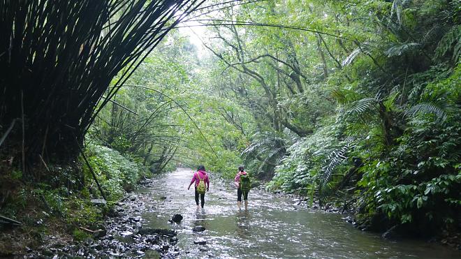 [Tanlan Middle Road] Pingxi Historic Trail Day Hike | Fully Guided Tour + à la carte dining