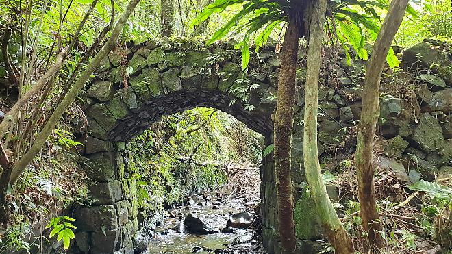 [Tanlan Historic Trail Middle Route] Bengshankeng Historic Trail Hike | Full Guide + No-Menu Cuisine