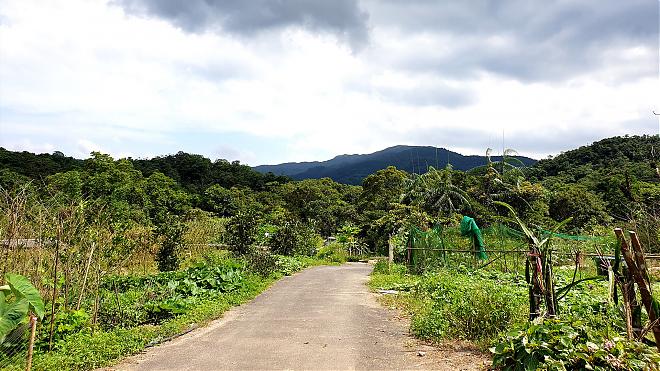[Tanlan Historic Trail Middle Route] Bengshankeng Historic Trail Hike | Full Guide + No-Menu Cuisine